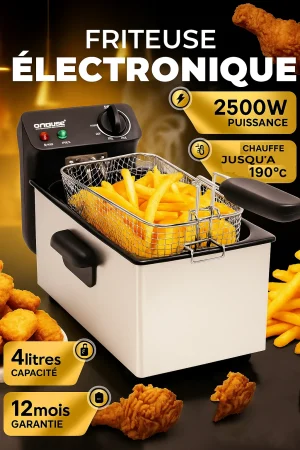 Friteuse électrique avec cuve amovible